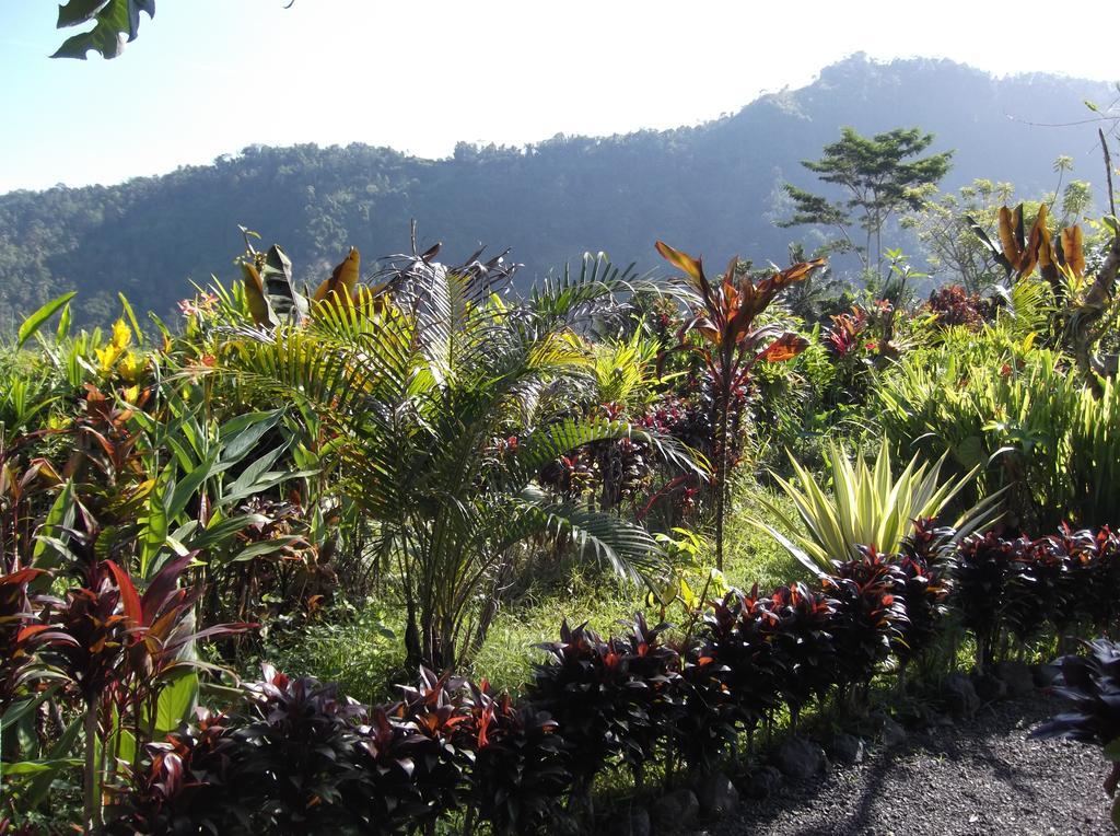 The Bukit Artha Acomodação com café da manhã Sidemen  Exterior foto